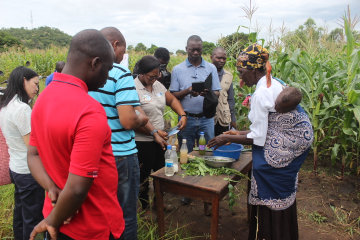 Malawi, Botswana Share Notes On Fall Army Worms