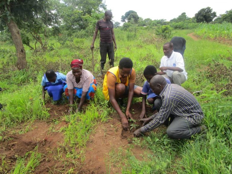 Bwaila Lions Club Plant Over 4,000 Trees