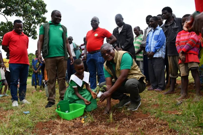 First Lady’s BEAM Trust In Afforestation Drive