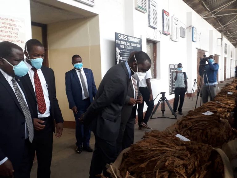 Limbe Tobacco Market Opens On A High Note