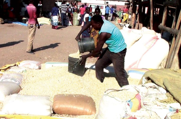 Maize Prices Up In ADMARC Depots From  K160 to K205 Per Kilogram