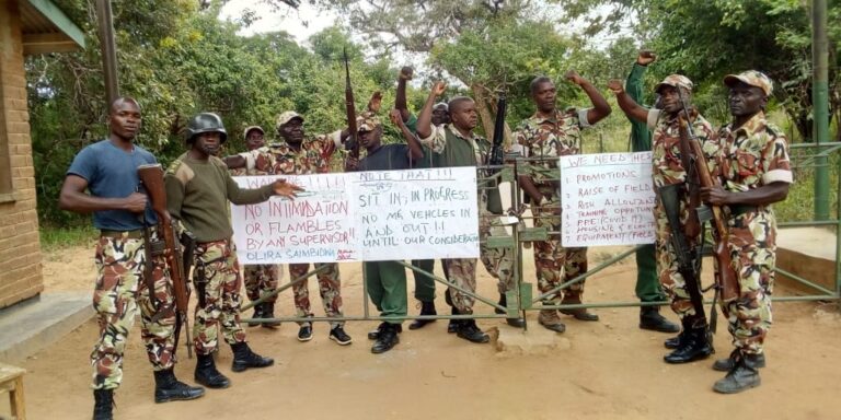 Government to Recruit 300 Game Rangers -Minister