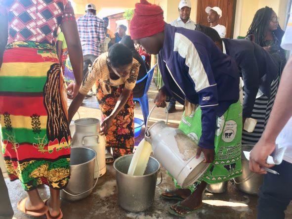 Dairy farmers bemoan frequent power outages