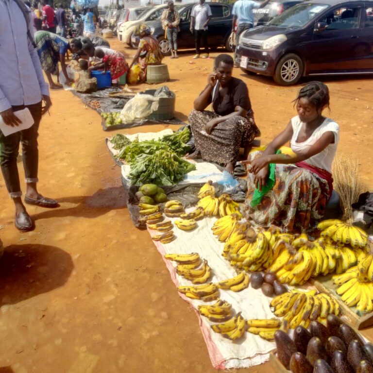 LILONGWE INFORMAL TRADERS CHALLENGE EVICTION, CONFISCATION OF GOODS