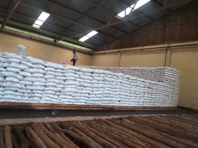 Malawi receives 20, 000 metrics of fertilizer from Russia