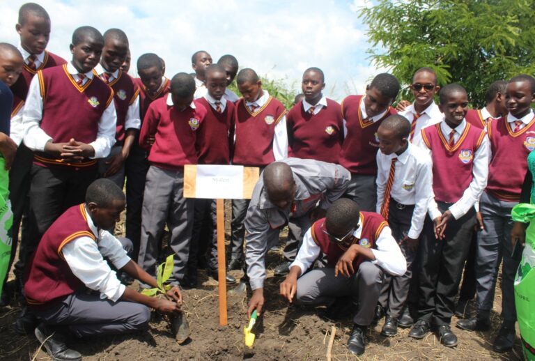 Ministry moves to promote banana farming in schools