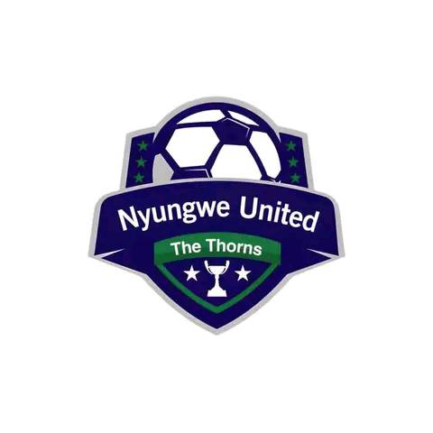 Nyungwe FC involved in road accident; 17 dead,12 injured