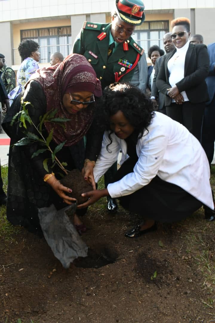 Tanzania president Suluhu Hassan plants tree at Malawi parliament