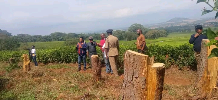 Chitakale Plantations engages Chiefs, Police