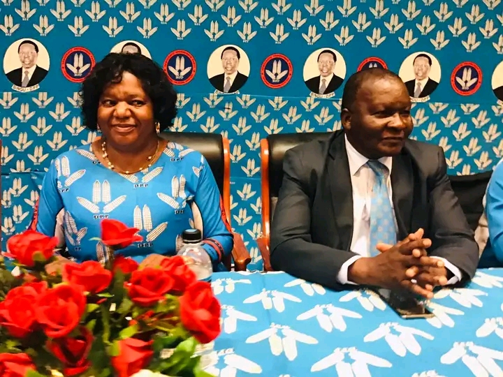 DPP elective conference set for December 16, All positions up for grabs