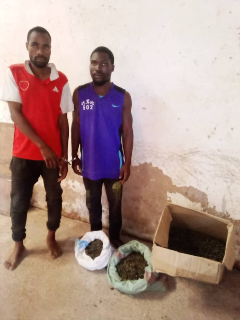 Arsenal fan arrested in Malawi for stealing 30 kilograms of hemp